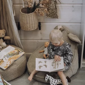 Alternative view of Wigiwama | Bear Beanbag Biscuit Teddy